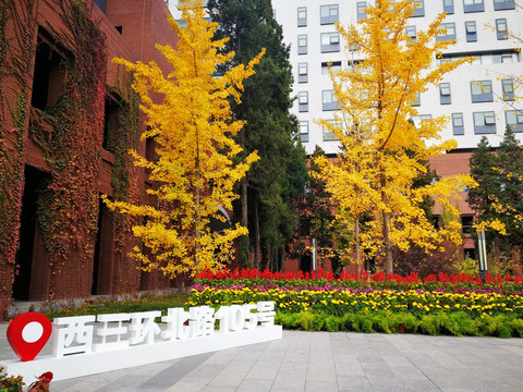 首都师范大学校园美景