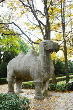明孝陵骆驼石雕像
