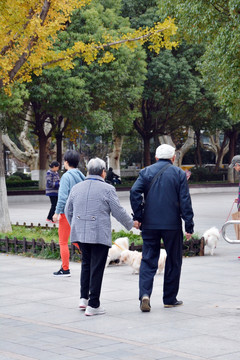 老人牵手散步