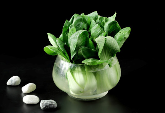 油菜