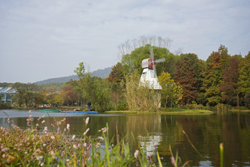 紫金山前湖秋色