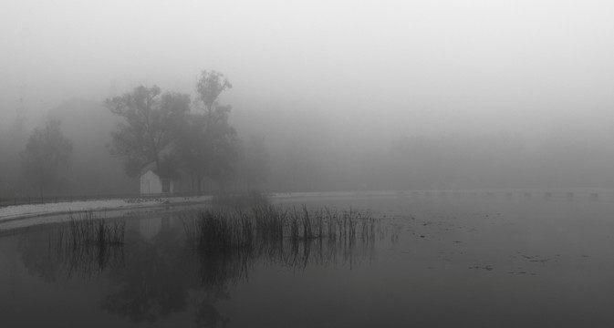 雾天里的园林