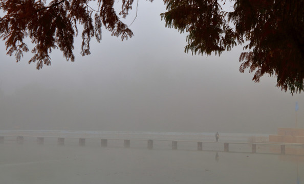 大雾中的一个人