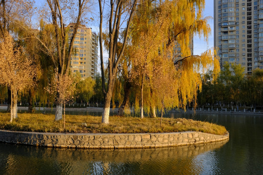 新疆阿克苏市