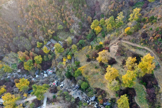 山村秋色