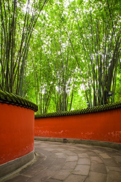 红墙绿竹