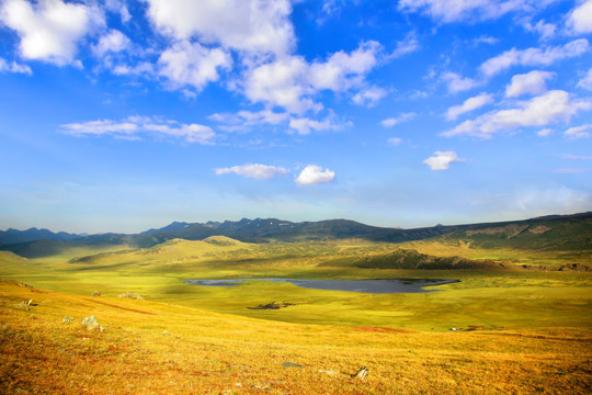 新疆喀纳斯黑湖