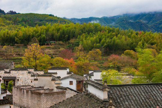 黟县塔川