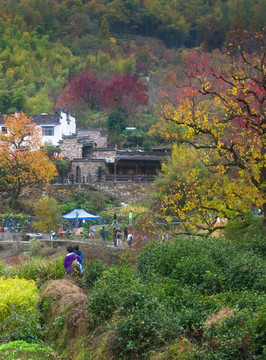 黟县塔川