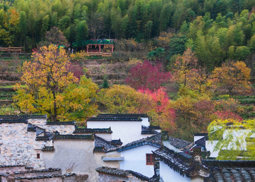 黟县塔川