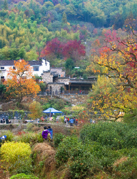 黟县塔川