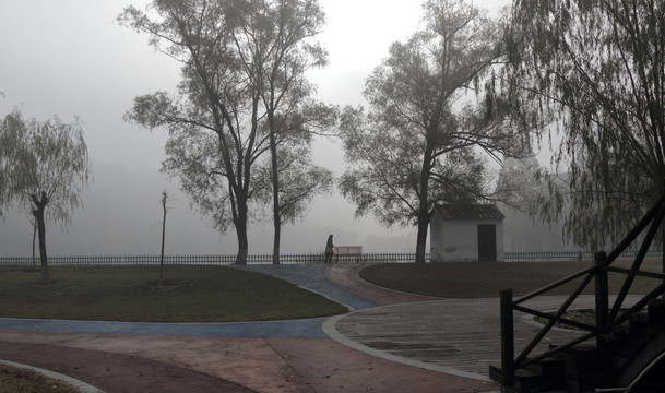 雾色园林