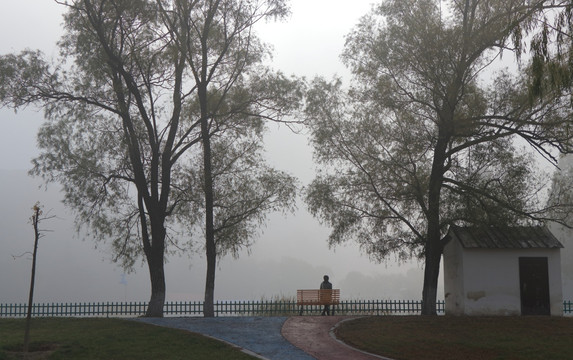 雾色园林