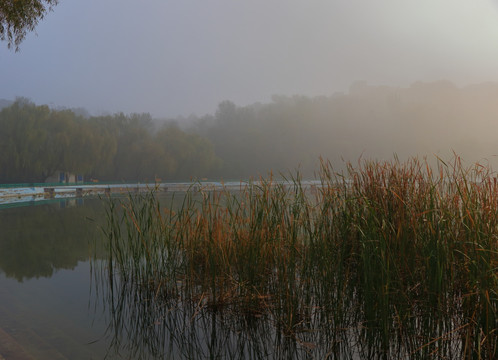雾色池塘