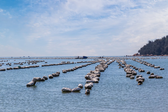 海边的渔业养殖场