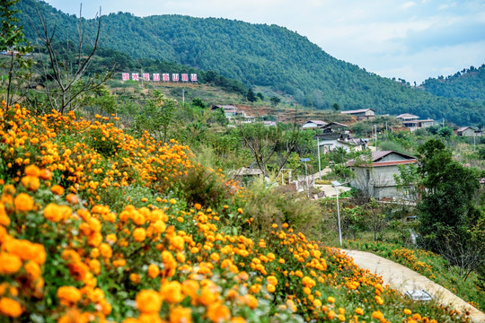 绿水青山金山银山