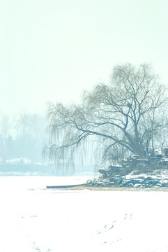 圆明园雪景