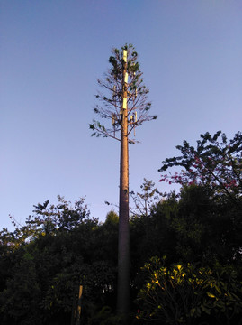 树形通信塔