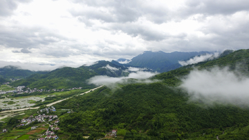 丁香风光