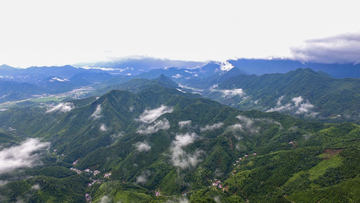 云雾山中