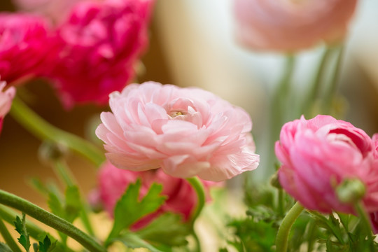 花艺