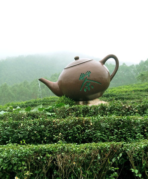 5茶花