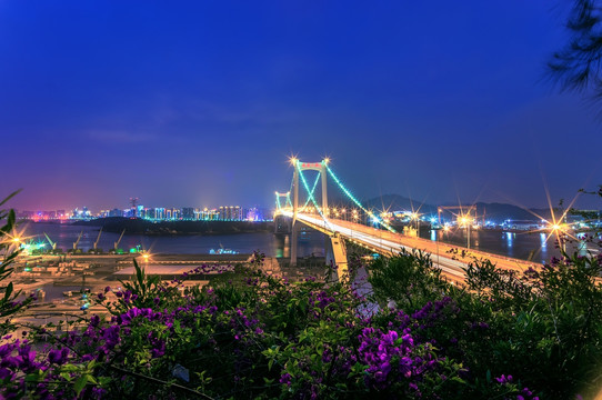 厦门海沧大桥