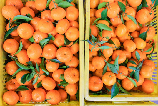 水果批发市场里的橘子