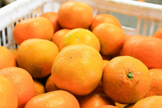 水果批发市场里的橘子