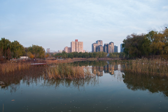 城市休闲景观