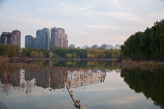 城市休闲景观