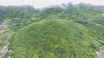 红桃村