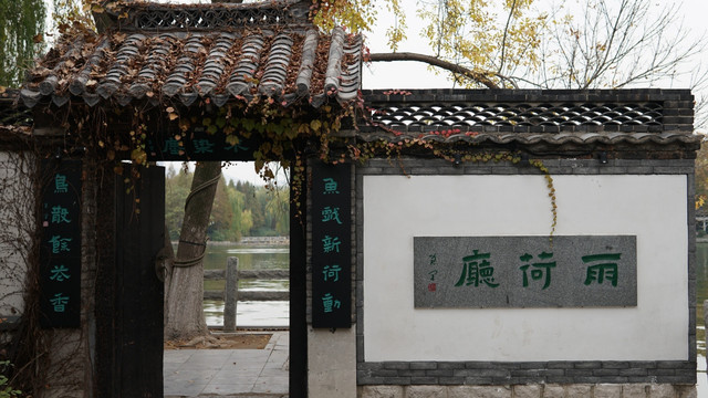 大明湖雨荷厅