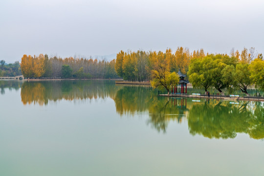 唯美南阳湖秋色风景