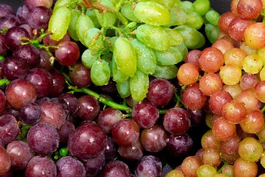 各种新鲜葡萄