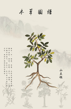 山豆根