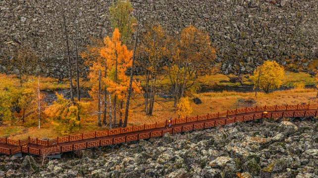 峡谷植被秋色