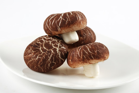 香菇蘑菇包