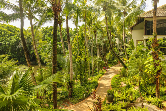 热带椰林酒店