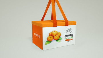 柑橘礼盒包装设计展开图