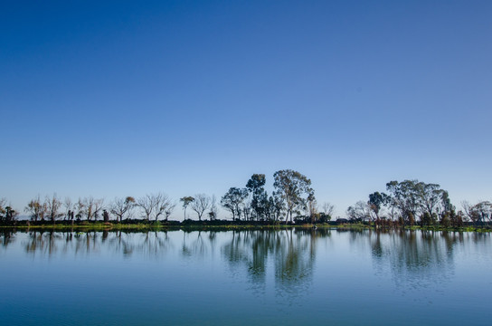 滇池湿地水天一色