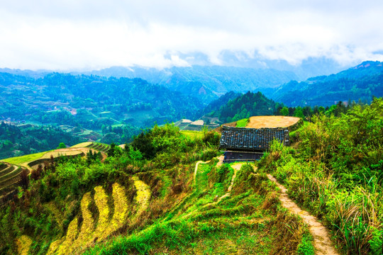 梯田远山