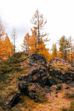 阿尔山火山地貌