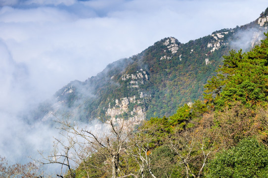 江西九江庐山地质公园深秋