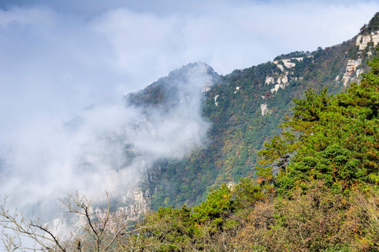 江西九江庐山地质公园深秋