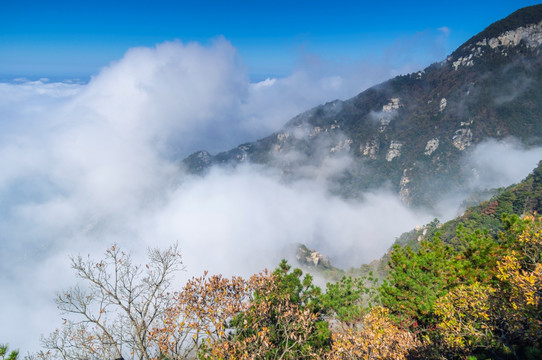 江西九江庐山地质公园深秋