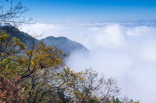 江西九江庐山地质公园深秋