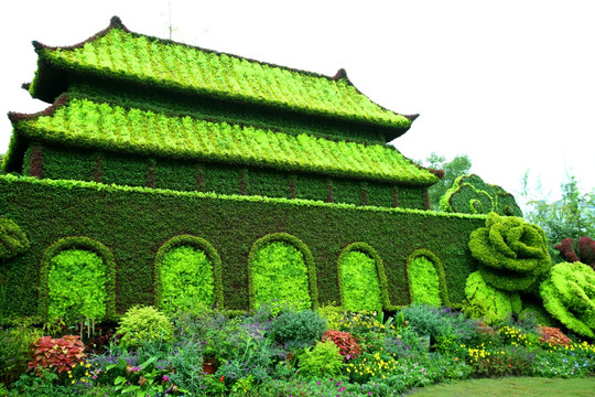 城墙植物造型