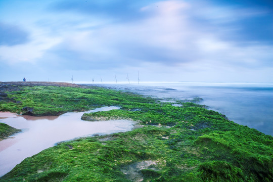 海洋海岸礁石