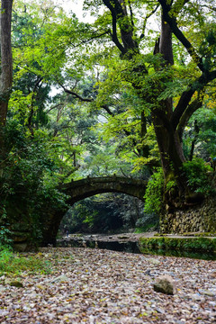 秋水